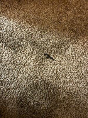 Arizona Charlies Boulder by null