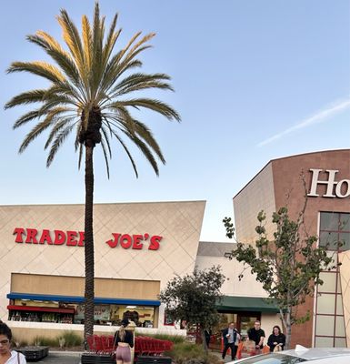 Trader Joe's by null