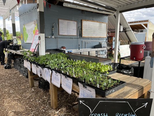 Reno Food Systems by null