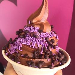 Yoga-urt - Chocolate Bliss
