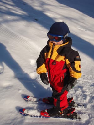 Village Ski & Snowboard by null