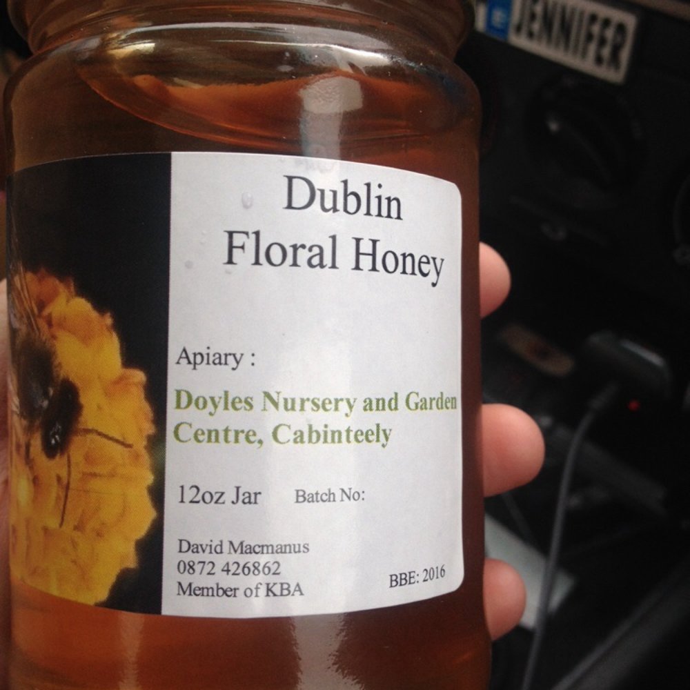 Doyles Nursery - Nurseries & Gardening Near Me - Dublin, D