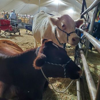 Yavapai County Fairgrounds - Moo - Venues & Event Spaces Near Me - Prescott Valley, Arizona Yavapai County Fairgrounds - Moo - Venues & Event Spaces Near Me - Prescott Valley, Arizona