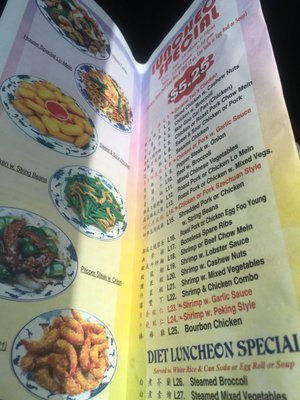 Menu photo 8 China Garden Tampa, FL