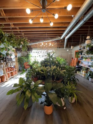 The Living Room by null