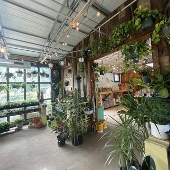 Flowers & Weeds - Interior - Florists Near Me - Saint Louis, Missouri Flowers & Weeds - Interior - Florists Near Me - Saint Louis, Missouri