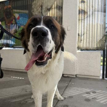 The Animal Keeper - Pet Training Near Me - Oceanside, California The Animal Keeper - Pet Training Near Me - Oceanside, California