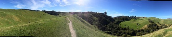 Wharariki Beach by null