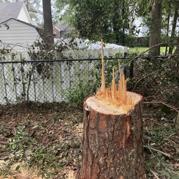 Stumps R Us Tree Service - Pine tree stump - Tree Services Near Me - Goodspring, Tennessee