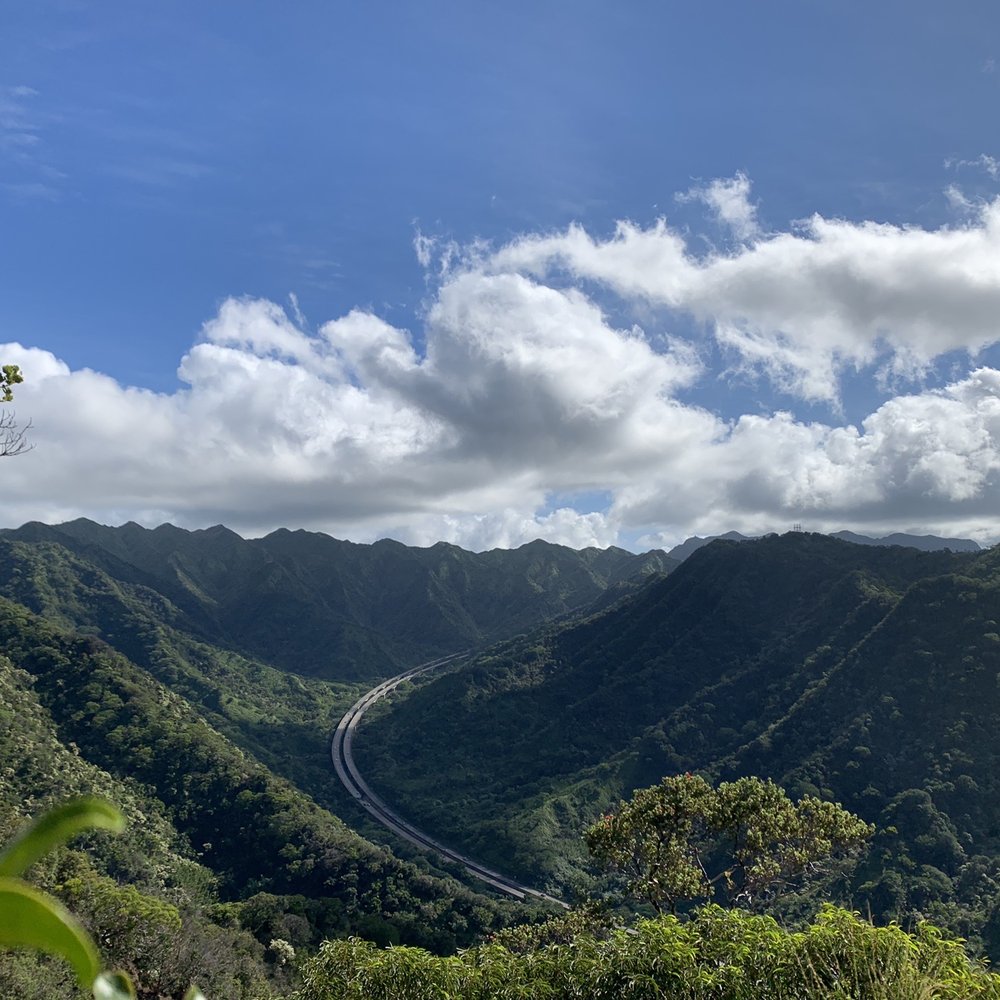 Aiea Loop Trail - Hiking Near Me - Aiea, Hawaii