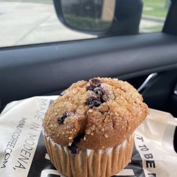 Minuti Coffee - Blueberry Muffin - Coffee & Tea Near Me - Sugar Land, Texas