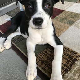 Little Leia