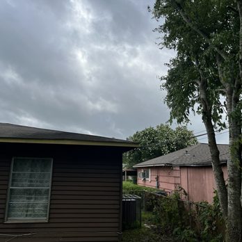 Jose Lozano Tree Services - Tree Services Near Me - Houston, Texas Jose Lozano Tree Services - Tree Services Near Me - Houston, Texas