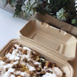 Chicken rice bowl and some cute cacti decor.
