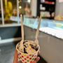 Two Scoops Creamery Southend