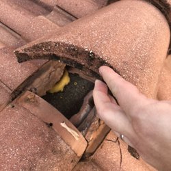 Dynasty Public Adjusting - Thorough inspection of all damage to ensure highest possible settlement.