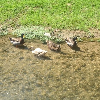 Mill Pond Park - Parks Near Me - San Saba, Texas