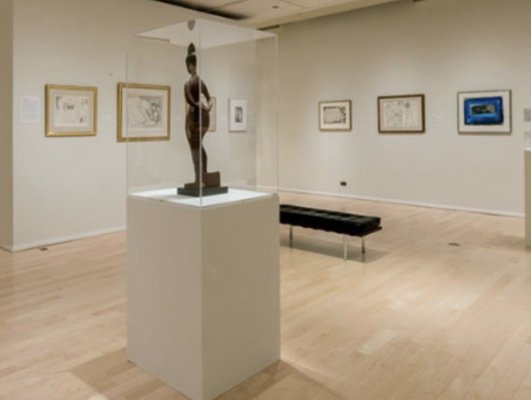 Fleming Museum of Art by null