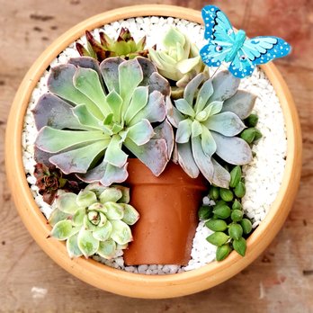 Plant & Sip - Clay Marquee! We have a wide variety of containers for you to choose! - Party & Event Planning Near Me Plant & Sip - Clay Marquee! We have a wide variety of containers for you to choose! - Party & Event Planning Near Me