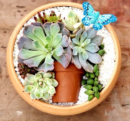 Corporate Private Events - Corporate Private Events.
Our succulent planting parties are designed to be fun, interactive and memorable. They are great for private events, such as bridal showers, girls night out, birthdays, family events, and more. Corporate Private Events - Corporate Private Events.
Our succulent planting parties are designed to be fun, interactive and memorable. They are great for private events, such as bridal showers, girls night out, birthdays, family events, and more.