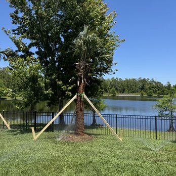 Sacred Tree Service - Landscaping Near Me - Apopka, Florida