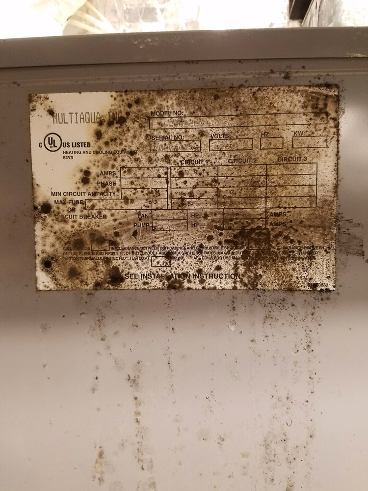 Coastal Environmental Services - mold inspector in Wilmington, NC