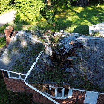 Kinum Tree & Stump - Top view after tree removal. - Tree Services Near Me