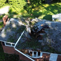 Kinum Tree & Stump - Top view after tree removal.