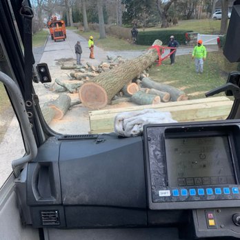 Elquin Tree Service - Tree Services Near Me Elquin Tree Service - Tree Services Near Me