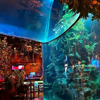 Rainforest Cafe - Interior - American Near Me - Atlantic City, New Jersey