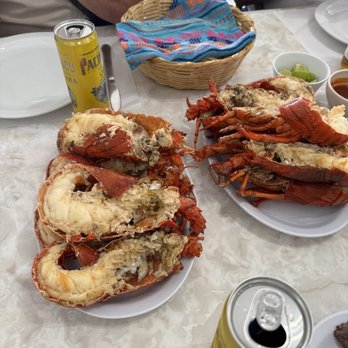 Puerto Nuevo #1 - Medium Lobsters - So good. - Seafood Near Me - Puerto Nuevo, BCN Puerto Nuevo #1 - Medium Lobsters - So good. - Seafood Near Me - Puerto Nuevo, BCN