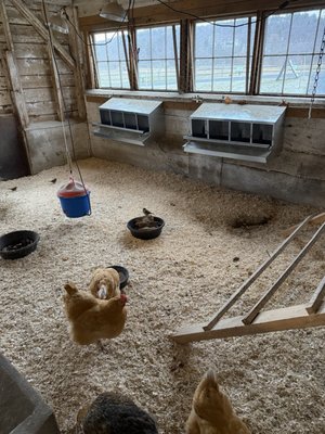 Billings Farm & Museum by null Billings Farm & Museum by null