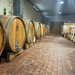 Tenuta Fanti