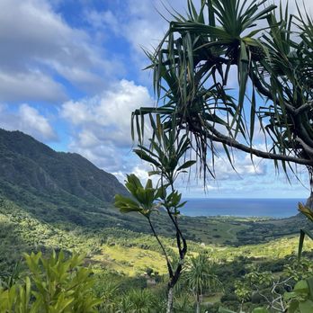 Kualoa Ranch - Tours Near Me - Kaneohe, Hawaii