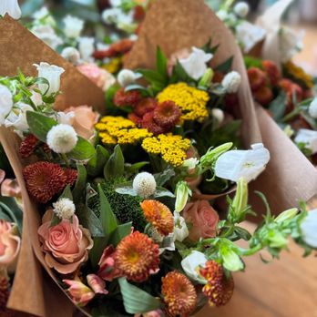 Pomelo - Florists Near Me - Philadelphia, Pennsylvania Pomelo - Florists Near Me - Philadelphia, Pennsylvania