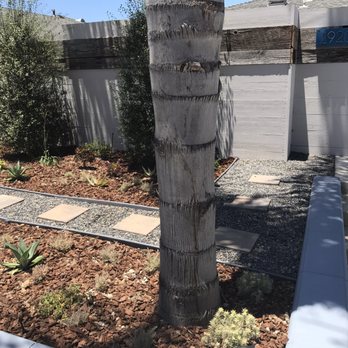 Three Palms Services - Custom irrigation oh yeah!! Extremely low maintenance - Landscaping Near Me