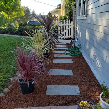 Kevin's Gardening Service - Before they planted them! - Landscaping Near Me Kevin's Gardening Service - Before they planted them! - Landscaping Near Me