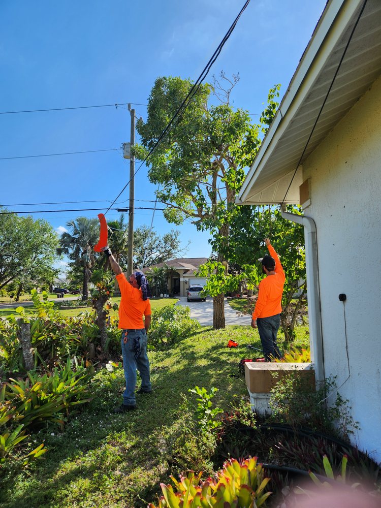 Slide of CHDO by Sunrise City