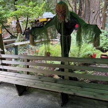 Mystery Spot - Halloween decor - Amusement Parks Near Me - Santa Cruz, California Mystery Spot - Halloween decor - Amusement Parks Near Me - Santa Cruz, California