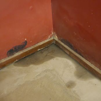 Everdry Waterproofing of Columbus - After the work in Sept - we had to wait for the first rain - now I get water in my basement - Waterproofing Near Me - Hilliard, Ohio Everdry Waterproofing of Columbus - After the work in Sept - we had to wait for the first rain - now I get water in my basement - Waterproofing Near Me - Hilliard, Ohio