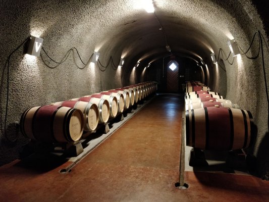 Viader Vineyards & Winery by null