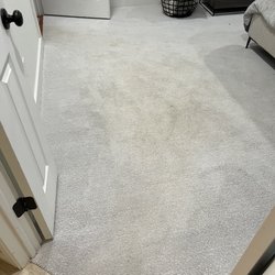 Steam Doc - Carpet