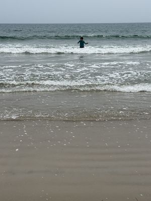 South Shore Beach by null