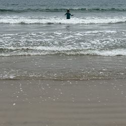 South Shore Beach - Beach Shore