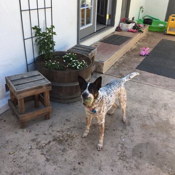 Griggs Nursery - Nurseries & Gardening Near Me - Carmel-by-the-sea, California