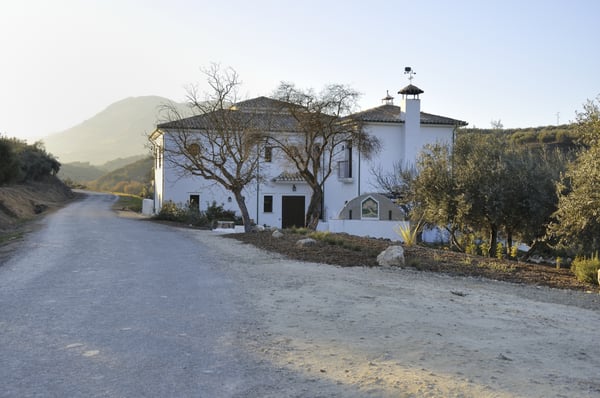 Casa Olea by null