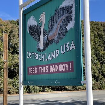 Ostrichland USA - Attraction Farms Near Me - Solvang, California