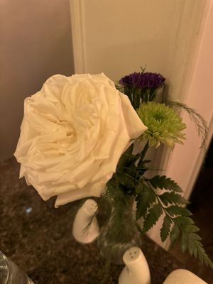 Cafe Vincotto by null