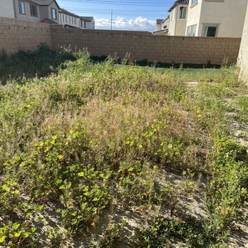 LTS Landscape Design + Build - Before - Landscaping Near Me - Corona, California LTS Landscape Design + Build - Before - Landscaping Near Me - Corona, California