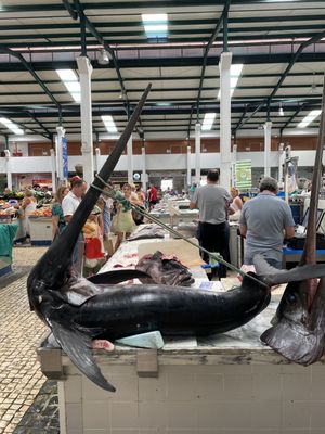 Mercado do Livramento by null
